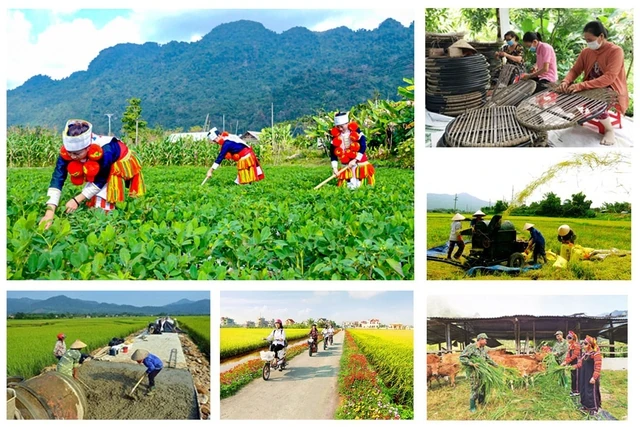 Giao bổ sung kế hoạch đầu tư công vốn ngân sách trung ương cho các bộ, địa phương thực hiện 2 Chương trình MTQG