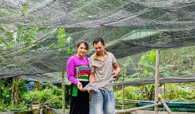 Những nông dân truyền cảm hứng (Bài 1): Hành trình đi “ngược” của cô gái dân tộc Mường