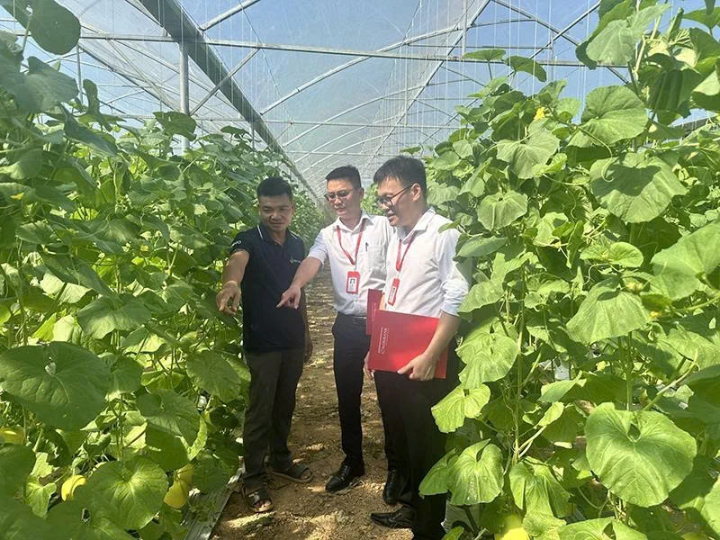 Nguồn lực phát triển nông nghiệp, nông thôn