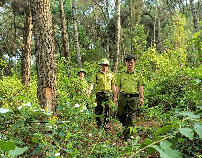 Căng sức giữ rừng mùa nắng nóng