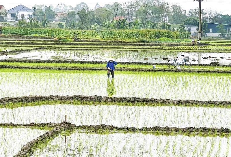 Nâng cao kỹ năng sử dụng thuốc bảo vệ thực vật cho nông dân