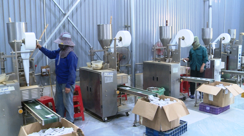 Phát triển sản phẩm OCOP từ cây dược liệu