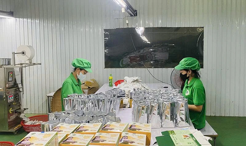 “Bàn đạp” vững chắc phát triển vùng nguyên liệu địa phương