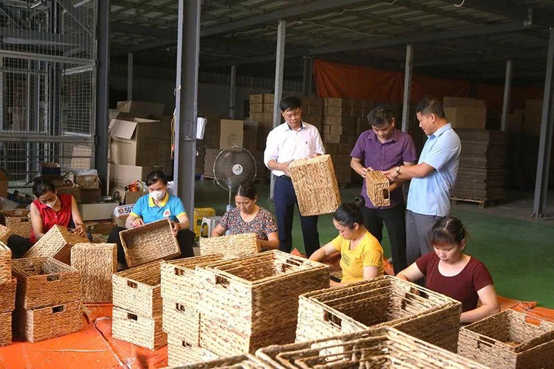 Hệ sinh thái sản phẩm OCOP xứ Thanh - liên kết để vươn xa