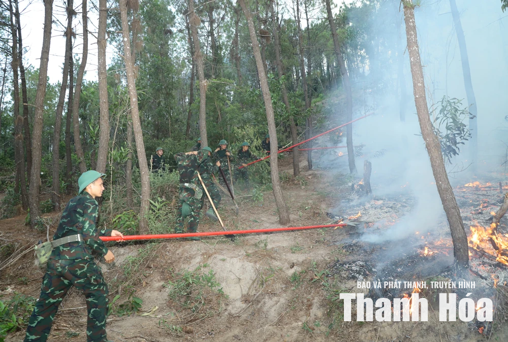 Dồn sức dập tắt hoàn toàn đám cháy rừng tại phường Hải Bình