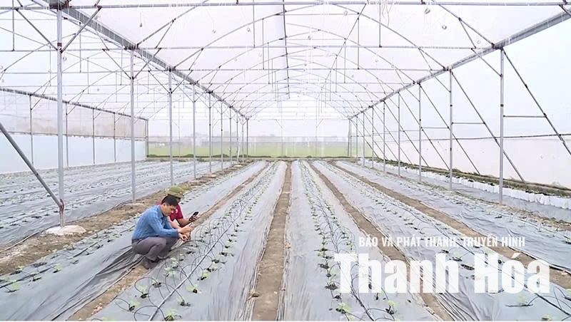 Công nghệ nâng tầm giá trị nông sản