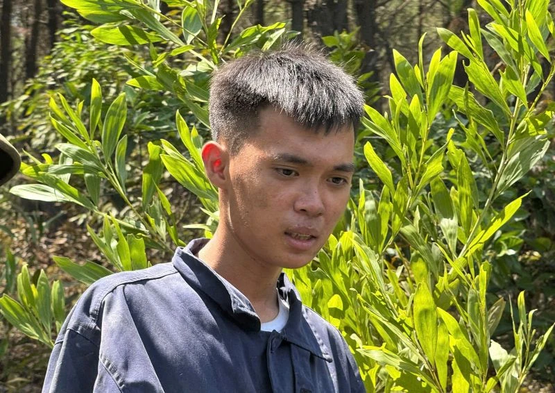 Khống chế thành công vụ cháy rừng tại phường Hải Bình