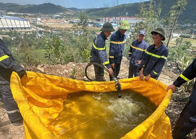 Dập tắt hoàn toàn đám cháy rừng tại phường Hải Bình