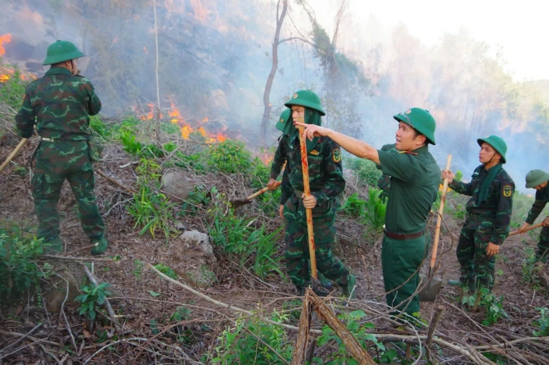 Cháy rừng phức tạp trở lại ở phường Hải Bình