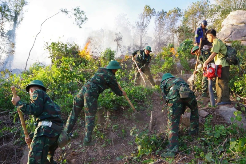 Cháy rừng phức tạp trở lại ở phường Hải Bình