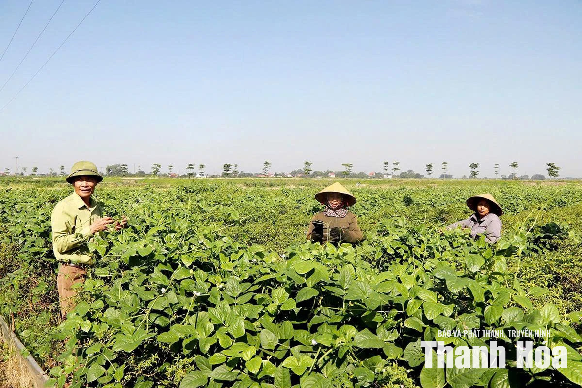 Bí thư chi bộ khéo dân vận