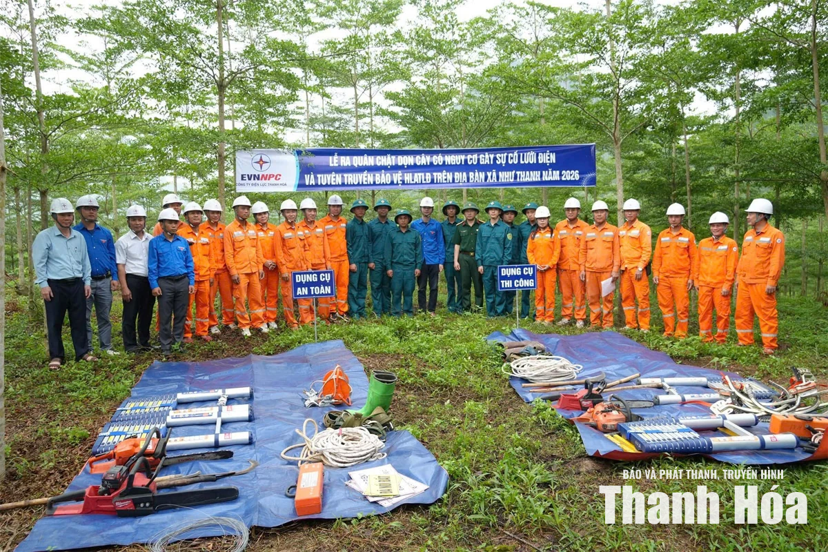 Tái định vị sức mạnh quốc gia (Bài 2): Những trụ cột kiến tạo tăng trưởng