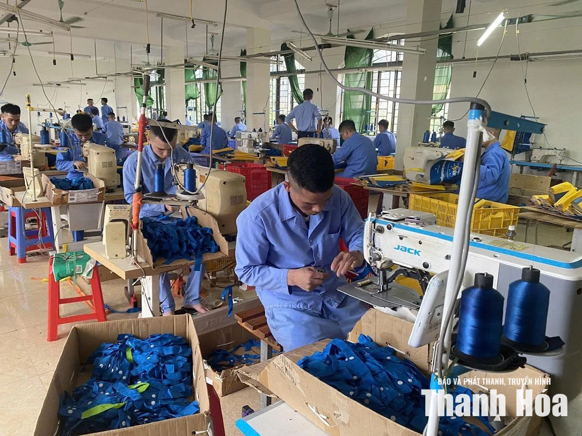Nâng cao hiệu quả công tác cai nghiện ma túy và quản lý sau cai