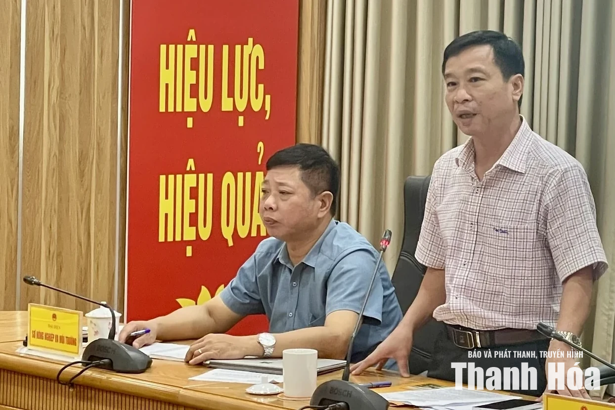 Khắc phục tồn tại, triển khai hiệu quả đề án sắp xếp, ổn định dân cư khu vực có nguy cơ cao về thiên tai