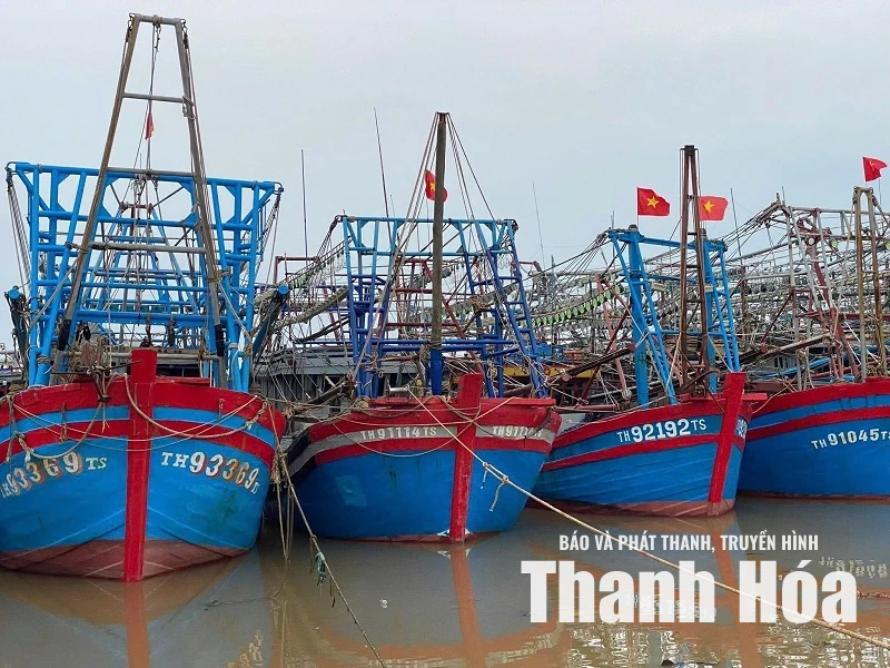 5.627 tàu thuyền của Thanh Hóa đã neo đậu an toàn tránh bão số 1