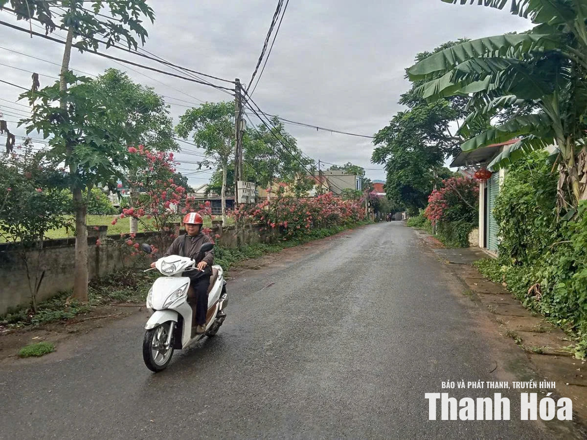 Điền Lư thực hiện tiêu chí giao thông trong xây dựng nông thôn mới