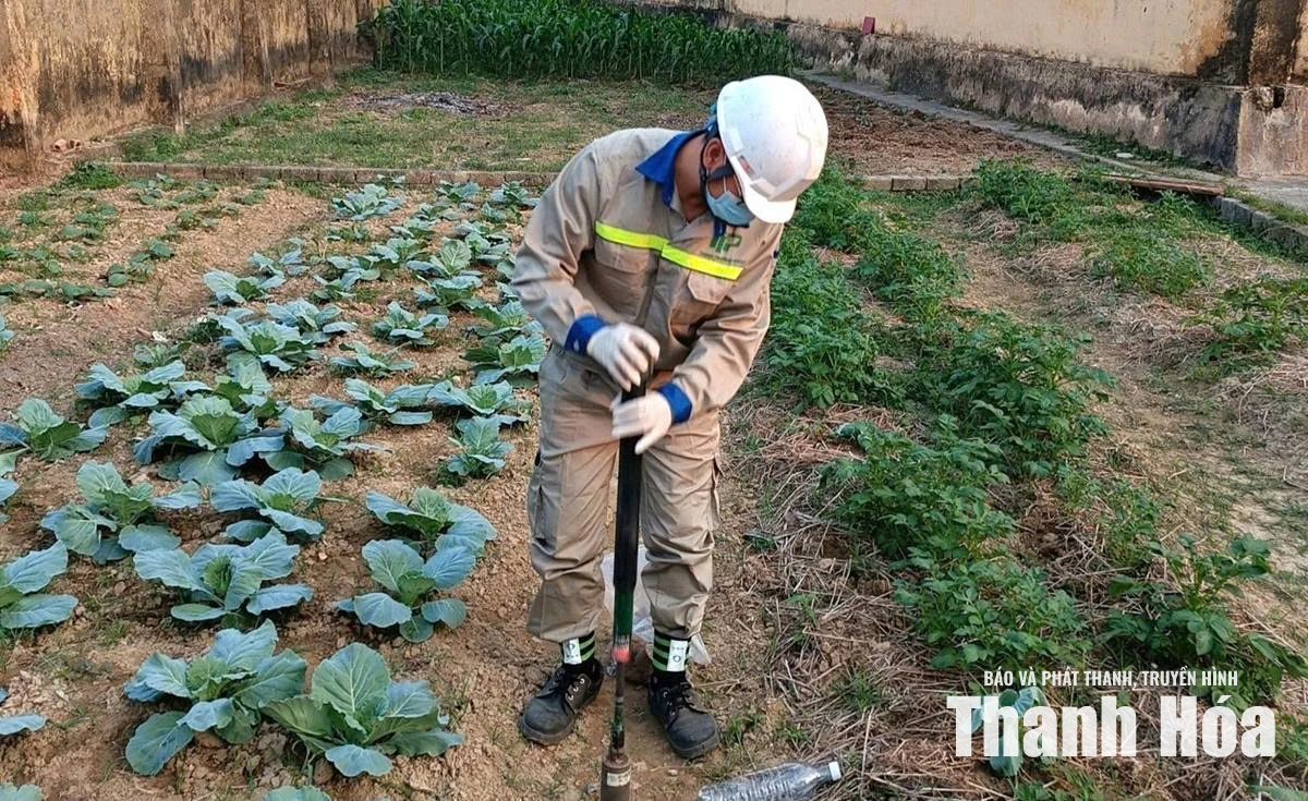 Hành động vì “sức khỏe” của đất