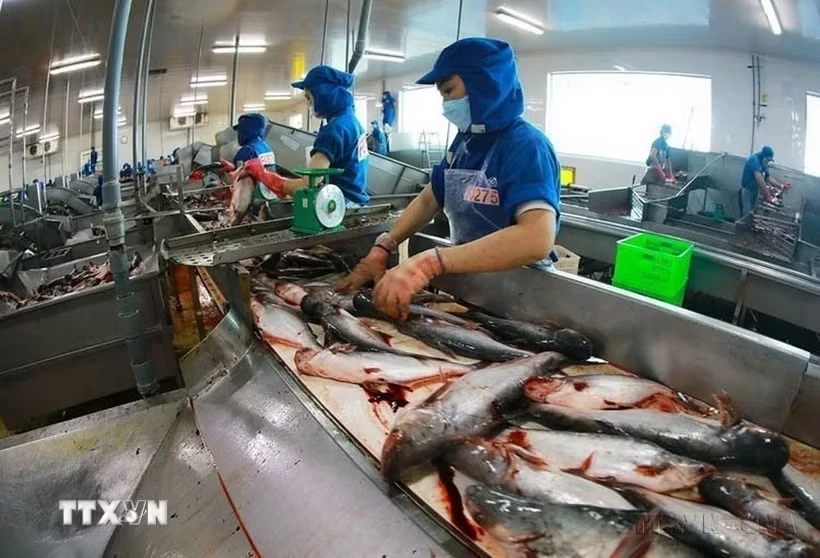 Xóa bỏ hiện tượng phân biệt hàng để ăn và 