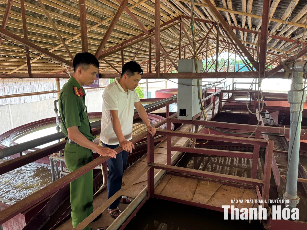 Siết chặt quản lý môi trường các cơ sở lâm sản ở xã Hồi Xuân
