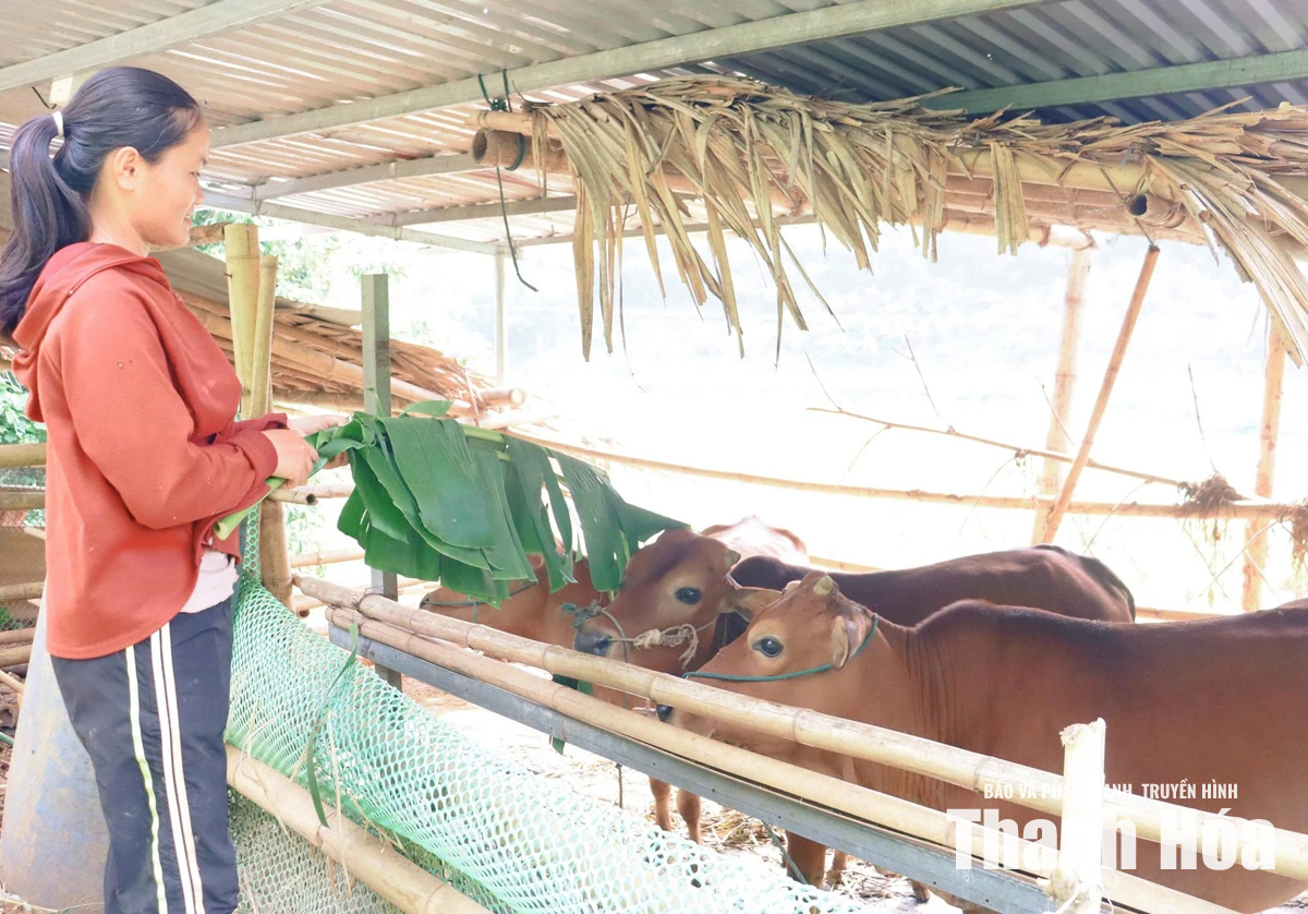 Tam Lư hỗ trợ sinh kế giúp người dân vươn lên thoát nghèo