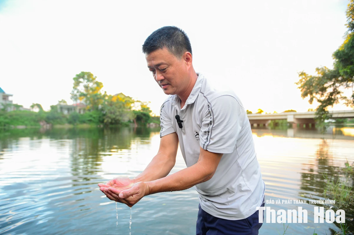 Làm rõ hiện tượng nước sông Lý đổi màu, cá nổi