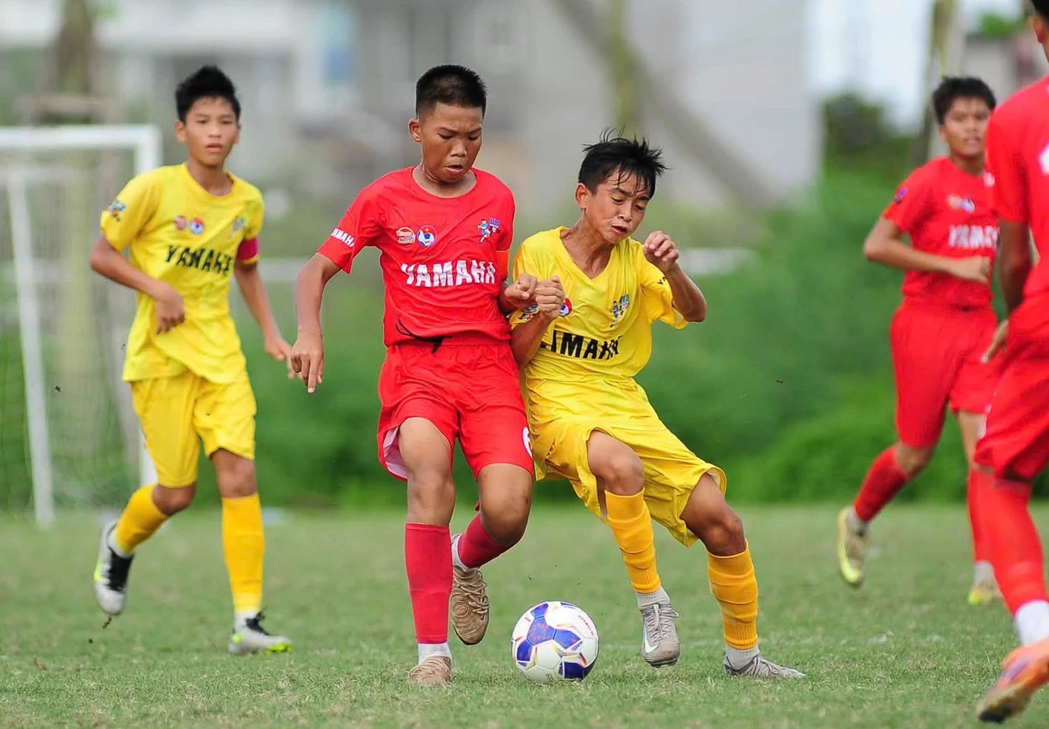 U13 Đông Á Thanh Hóa giành ngôi nhất bảng Giải Bóng đá Thiếu niên toàn quốc 2026
