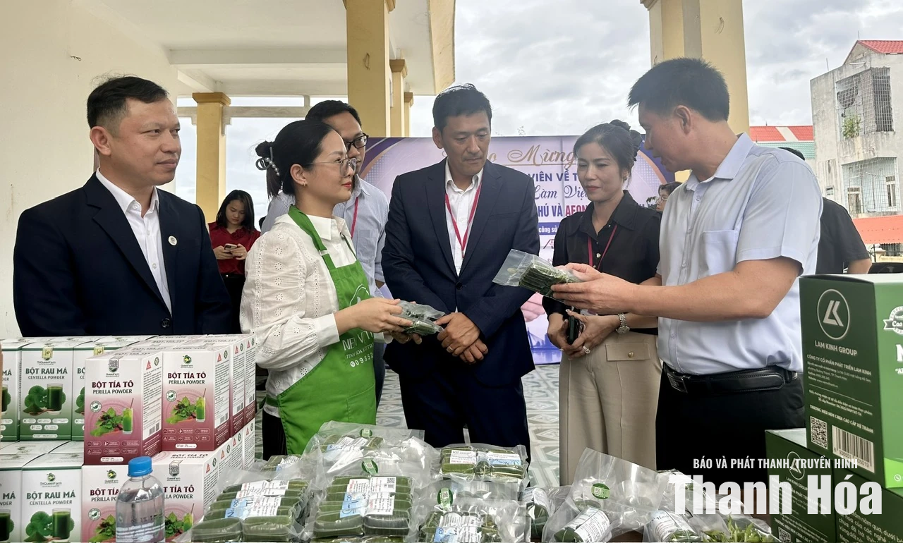 Kết nối đưa hàng hóa Thanh Hóa vào Trung tâm thương mại AEON MALL