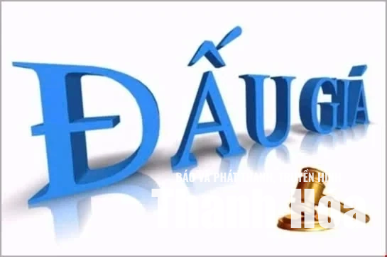 Công ty Đấu giá hợp danh Anh Phát thông báo đấu giá tài sản