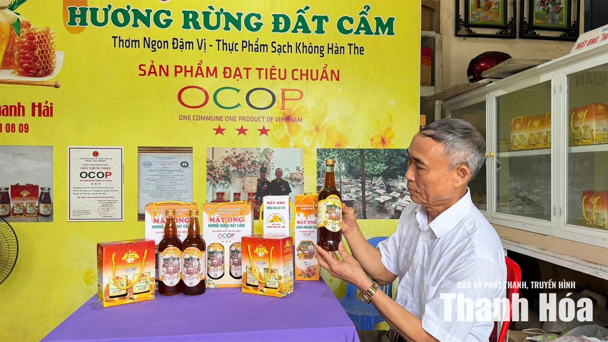 Hương rừng trong từng giọt mật