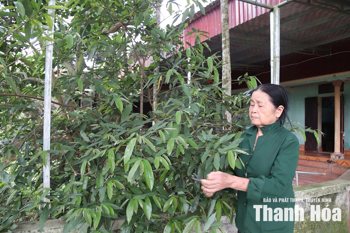 Nặng nghĩa tình với đồng đội