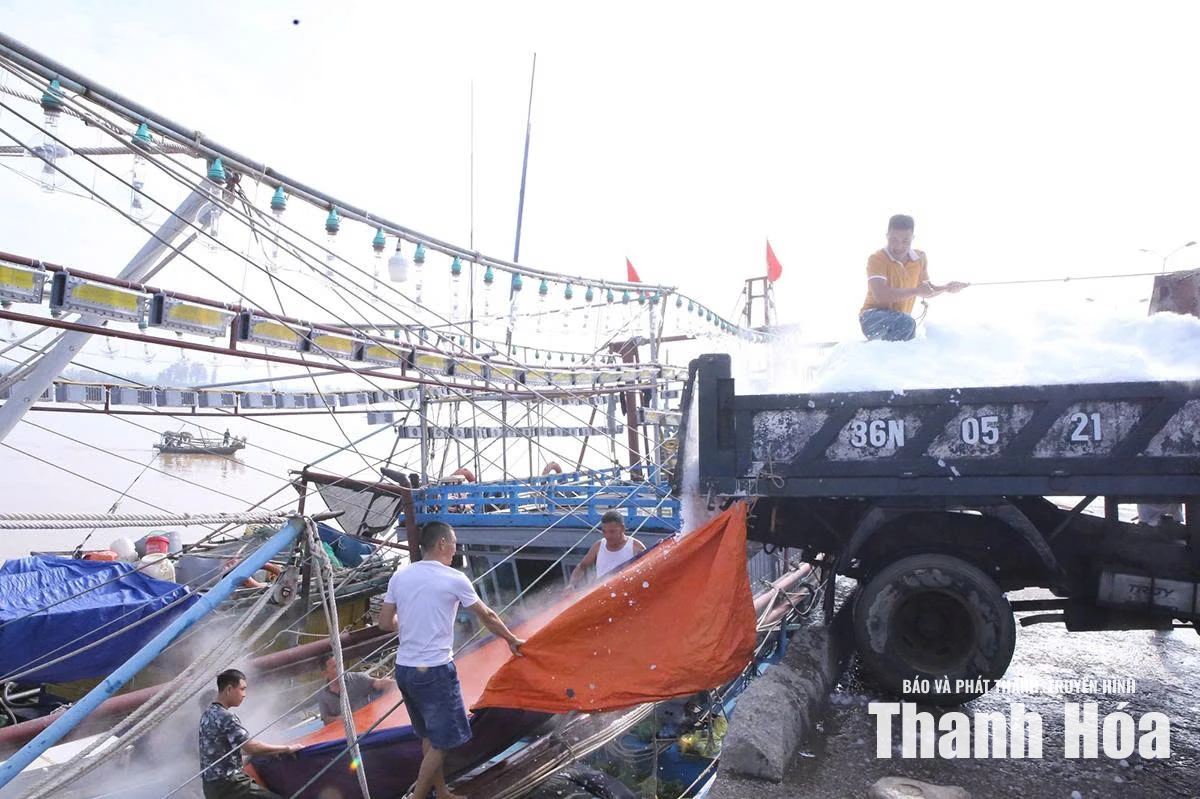 Khai thác hải sản bền vững vì thế hệ sau