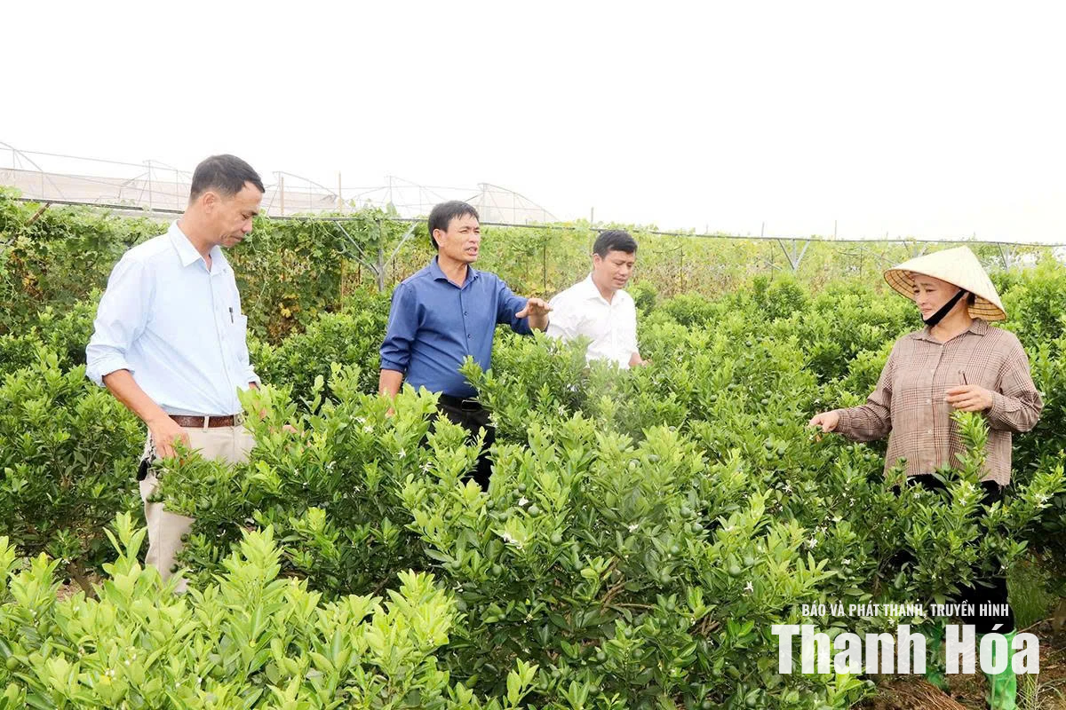 Đảng bộ xã Định Hòa học và làm theo Bác