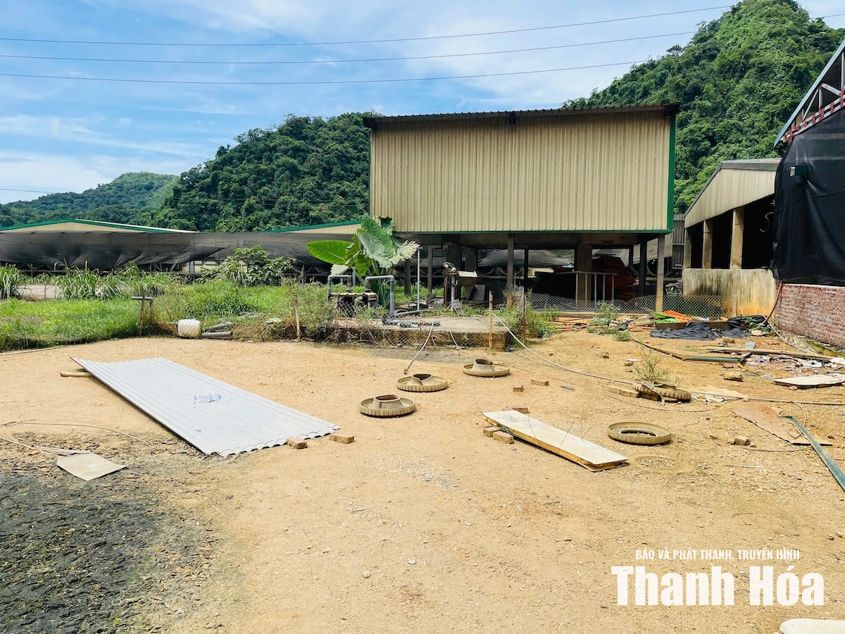 Tai nạn lao động, 5 người tử vong, 2 người bị thương