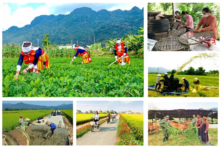 Thực hiện quyết liệt, thực chất, hiệu quả việc giải ngân vốn các Chương trình mục tiêu quốc gia