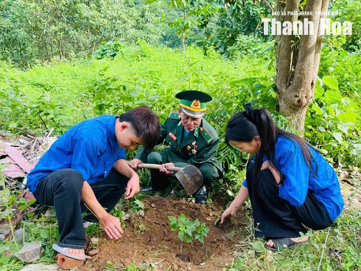 Đoàn Thanh niên xã Mường Lát triển khai mô hình “Hàng cây thanh niên”