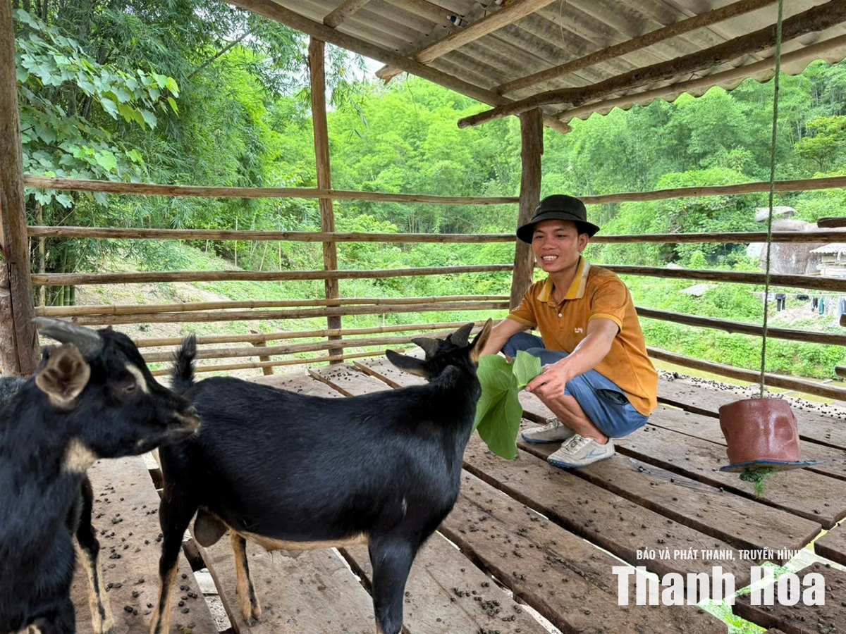 Chiếc túi thuốc nối việc bản, việc dân
