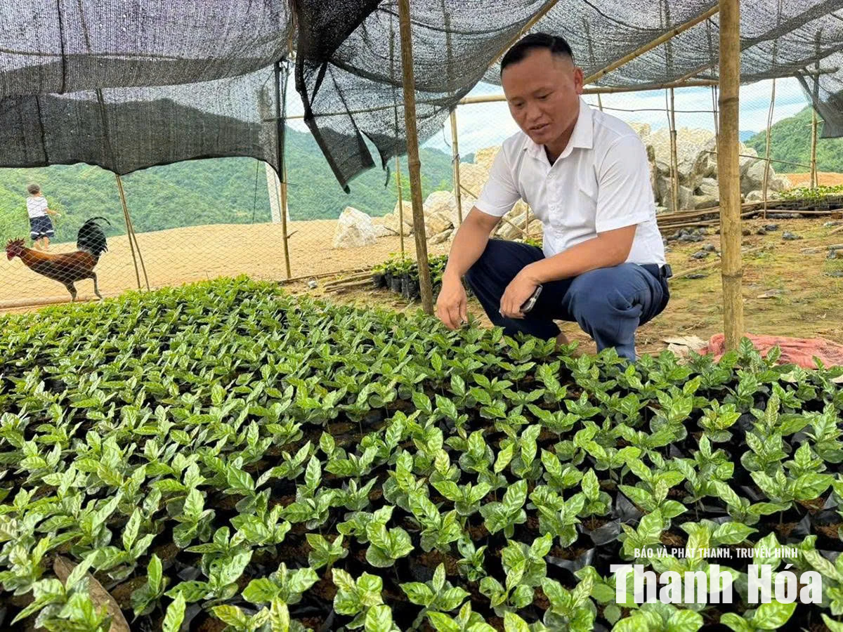 Người cũ của bản mới