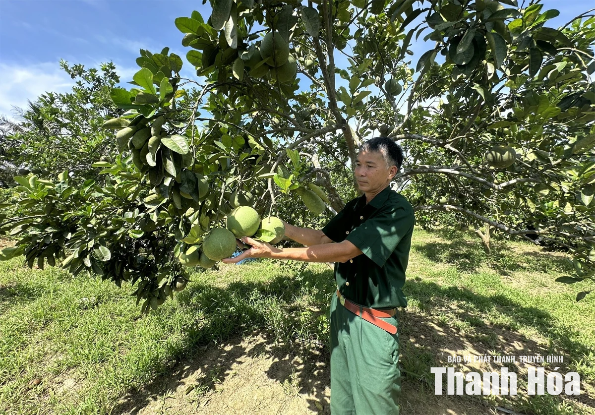 Tỏa sáng giữa đời thường