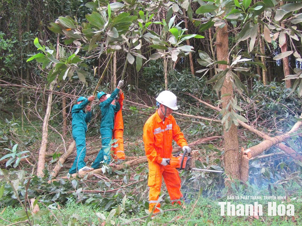 Bảo vệ hành lang an toàn lưới điện&nbsp;trước mùa mưa bão