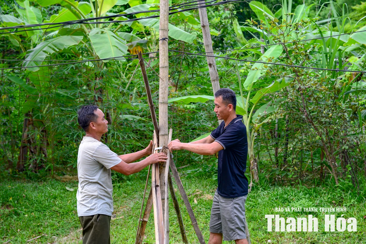 Đường điện võng sát đất, hơn 20 hộ dân sống trong nỗi lo&nbsp;