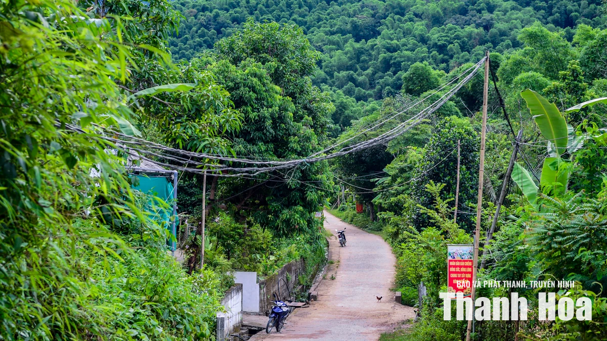 Đường điện võng sát đất, hơn 20 hộ dân sống trong nỗi lo&nbsp;