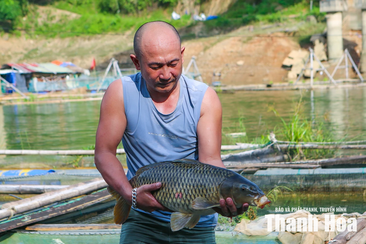 Biến mặt nước lòng hồ thành vùng sản xuất thủy sản