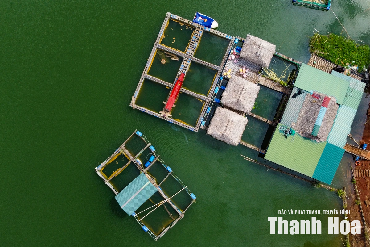 Biến mặt nước lòng hồ thành vùng sản xuất thủy sản