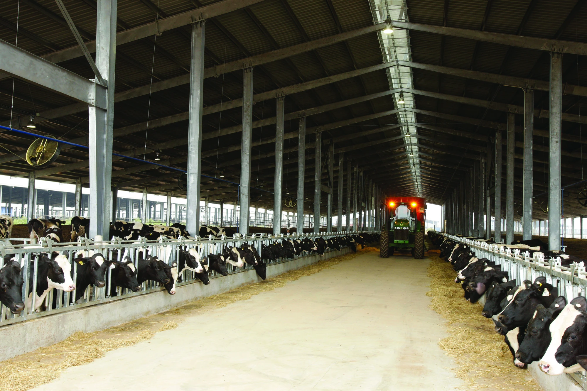TH True Milk được vinh danh Top 10 nhãn hiệu nổi tiếng Việt Nam năm 2026