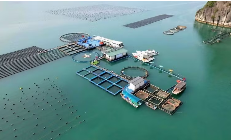 Phát triển kinh tế biển trở thành động lực chiến lược