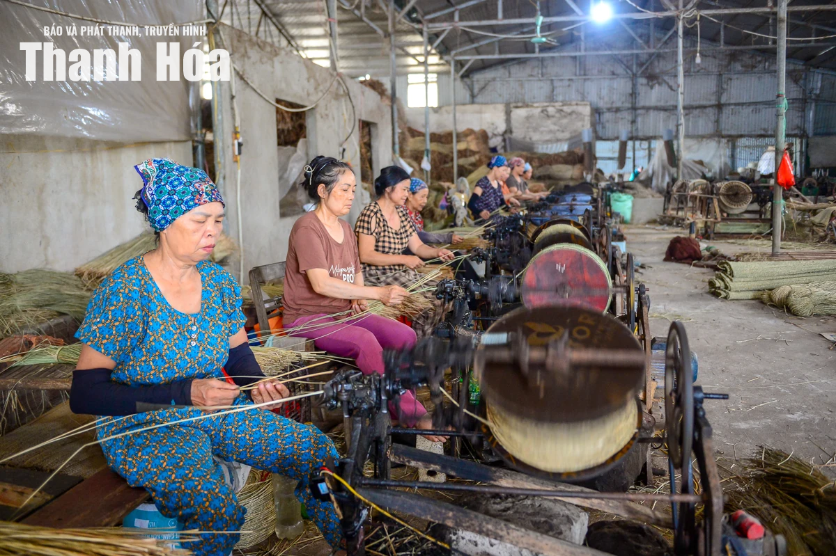 Theo dấu sợi cói, chạm vào hồn quê