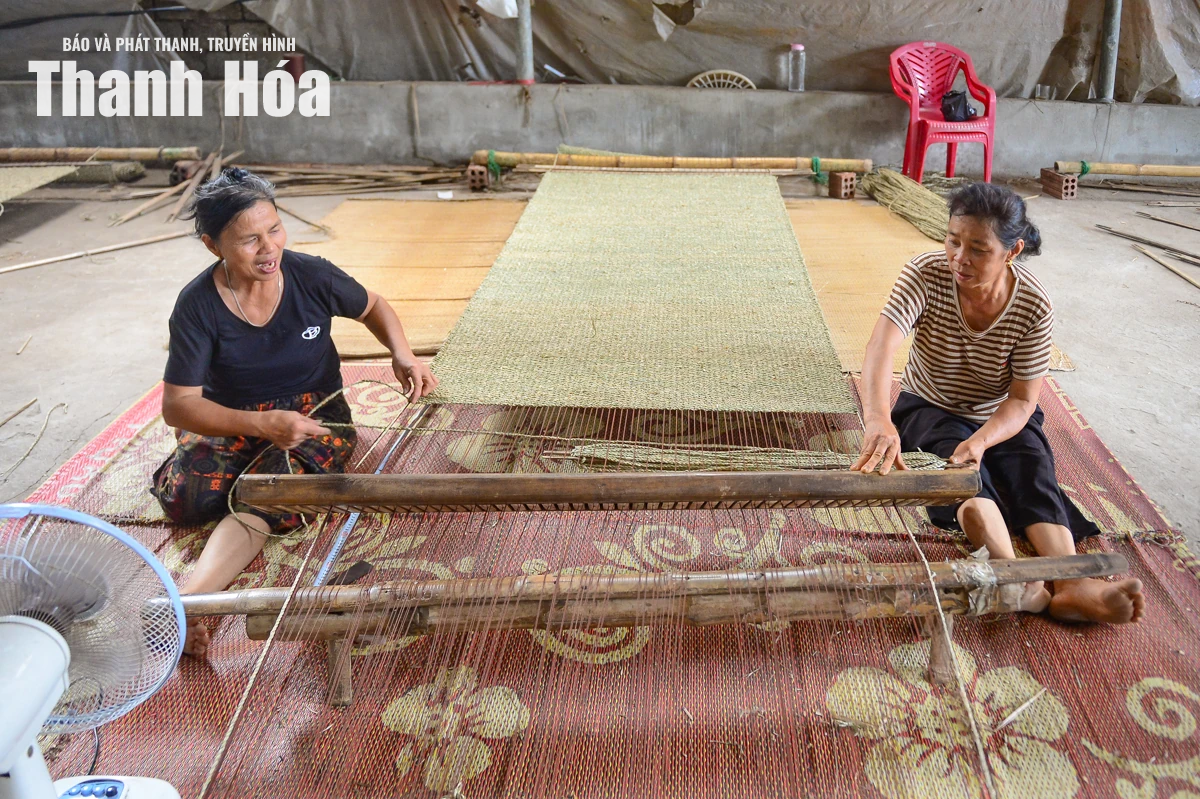Theo dấu sợi cói, chạm vào hồn quê