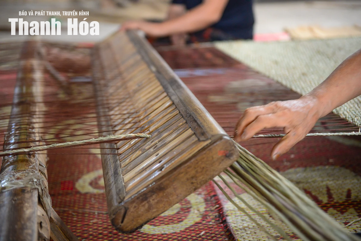 Theo dấu sợi cói, chạm vào hồn quê