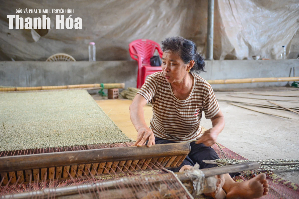 Theo dấu sợi cói, chạm vào hồn quê