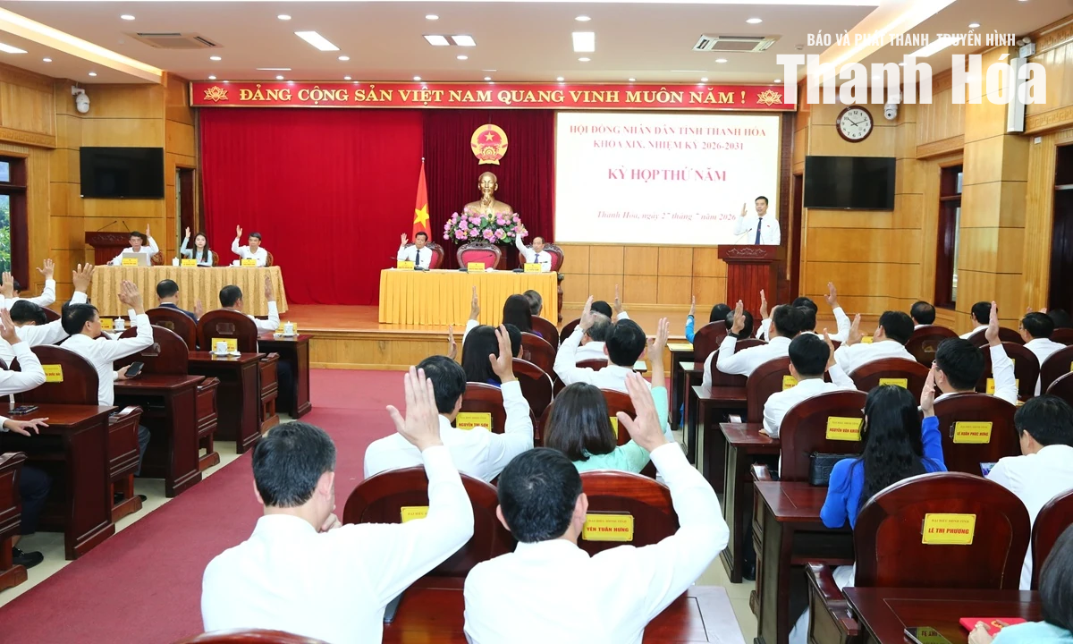 Phó Bí thư Tỉnh ủy Tô Anh Dũng được bầu giữ chức Chủ tịch UBND tỉnh nhiệm kỳ 2026-2031